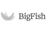 bigfish_logo
